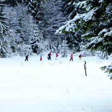 Slovenský raj - bežecké lyžovanie